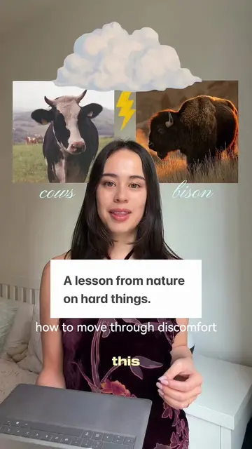 What cows and bison can teach us about hard things. It’s much easier in the mome