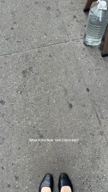 Had an intense encounter on the street today #cats #nyc #nyclife #okii 