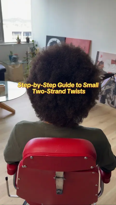 Step-by-Step Guide to Small  Two-Strand Twists Step 1: Split & Clip the hair int