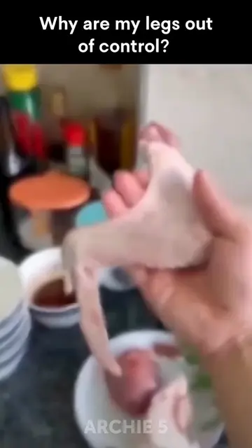 Wait… Does a Chicken Leg Actually Do That?!