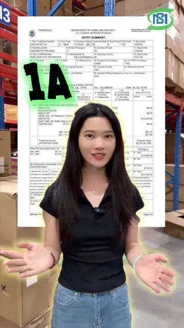 Why is your shipment stuck in U.S. customs? #logistics #iors #inspection #shipme