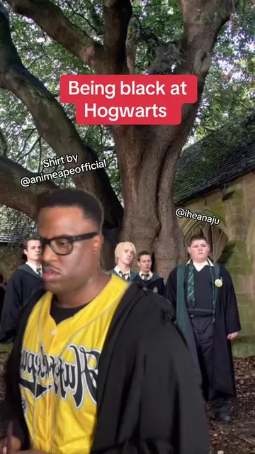 Need to stop interacting with students #hogwarts #harrypotter #gryffindor 