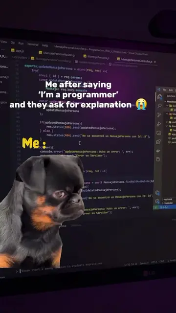 #Pov :Trying to explain programming to non-tech people like…#programmin #program