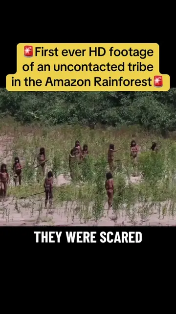 New footage of an uncontacted tribe in the Amazon has been released by Paul Roso