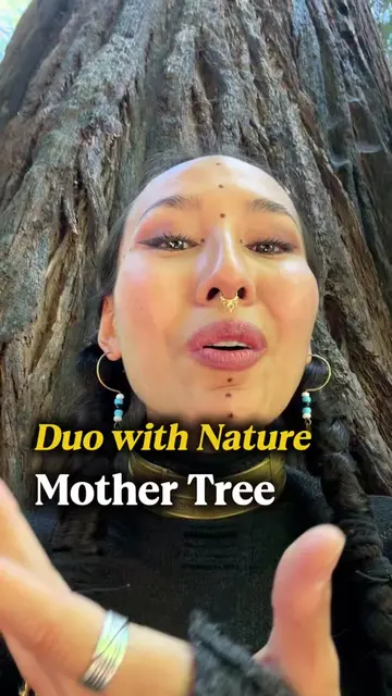 A little message from big ancestors of Earth, The Mother Tree that witnessed 20 