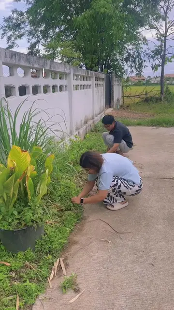 ချင်းမိုင်ကိုပြောင်းလာတာ ၁လကျော်ရှိပြီ။ နေ့ရက်တိုင်းက အေးချမ်းနေလို့ ကျေးဇူးတင်ပ