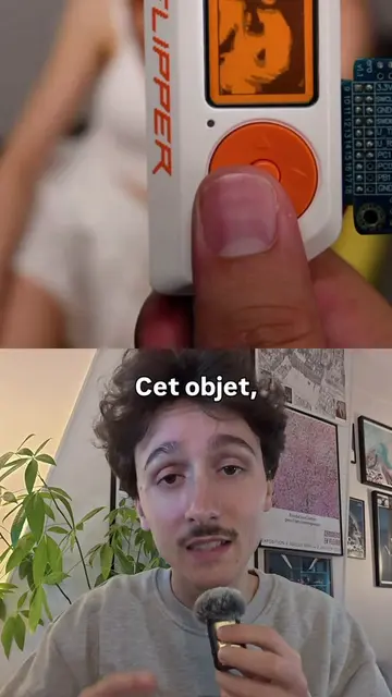 Ce gadget est interdit au Brésil  #flipperzero #cybersécurité #onde #nfc #téléco