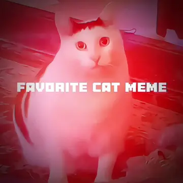 I love zazu #edit #cat #zazu #recommendations #fyp 