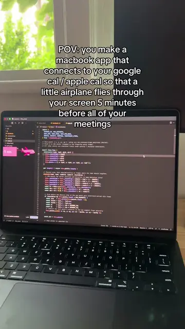 Small vibecoded project 🌸 #compsci #coding #softwareengineer #softwaredeveloper