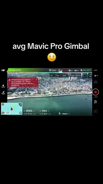 can we be fr gng 😭#dji #mavicpro #fyp #drone #son 