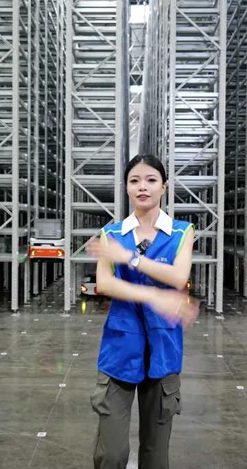 Ever seen robots climb walls? Welcome to one of China's most high-tech warehouse