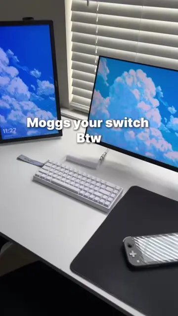 Moggs your switch btw #ayn #aynthor #switch #steamdeck #rogally 