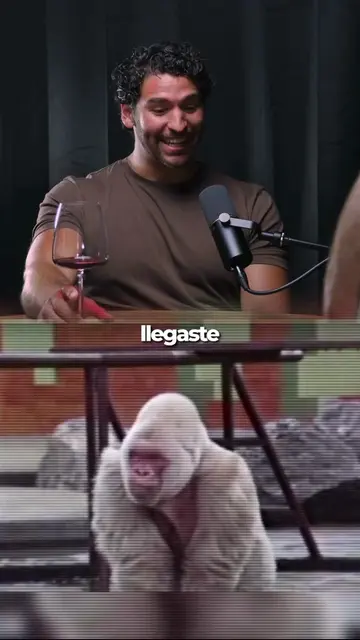 Trabajo con Copito de nieve, un gorilla blanco. Manolo, experto en primates 🎙️P