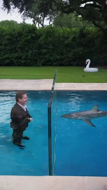 The fish kept stopping at the glass wall even after it was removed. Most people'