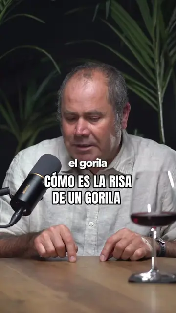 Como es la risa de un Gorila? Explicado por Manolo, Experto en primates 🎙️Podca