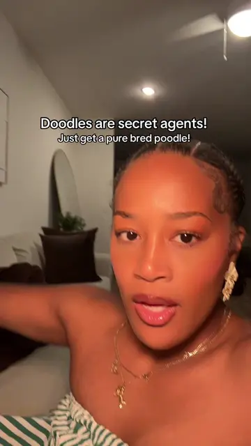 You don’t have to mix a poodle with everyyhing. Just get the poodle. Labradoodle