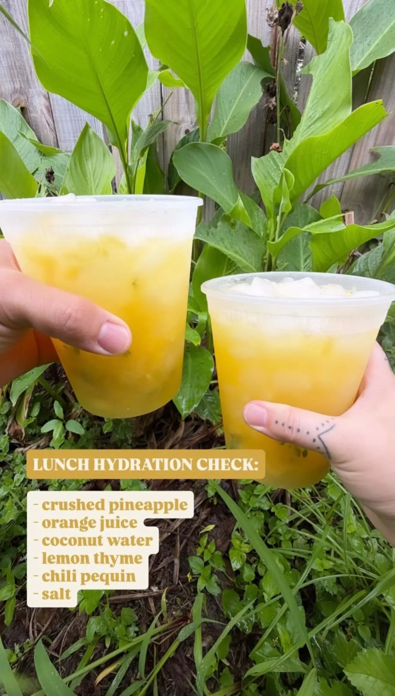 All so yummy 🤤 #hydration #mocktail #mocktails #delicontainer #drink 