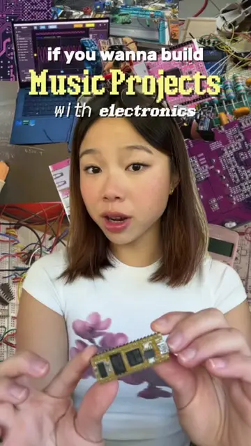 An electronics part designed for audio & music DIY projects! 🎶  Add this to you