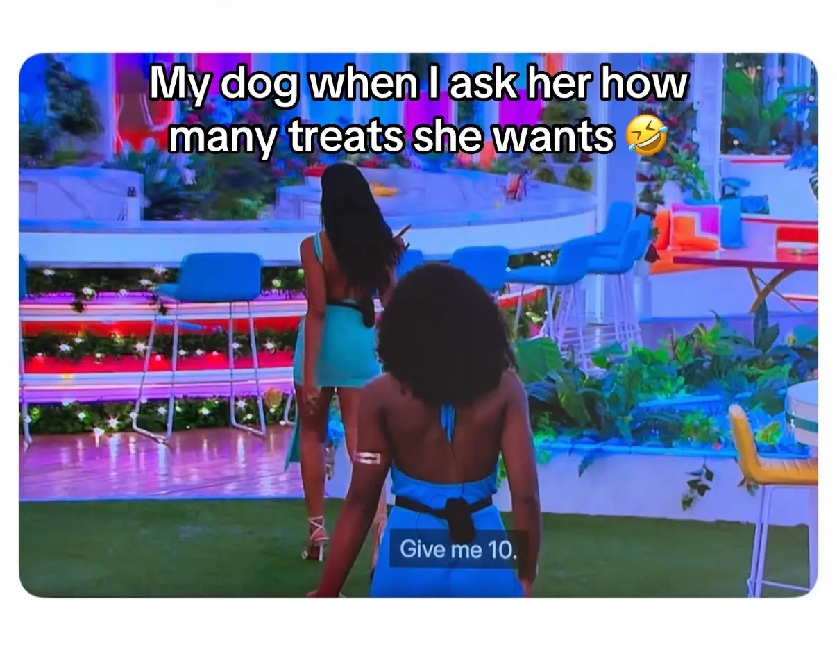 My dog is a huge Love Island fan and after new episodes all week, yesterday felt