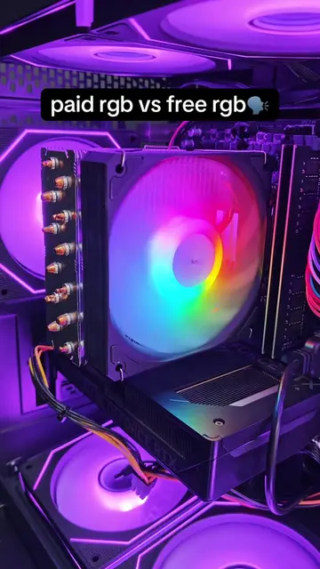 paid rgb vs free rgb🗣️#rgb #pc #setup #DIY #techtok 