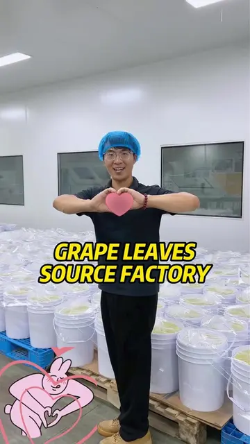 Welcome to taste Chinese grape leaves!  #grapeleaves #wholesale #foodfactory #B2