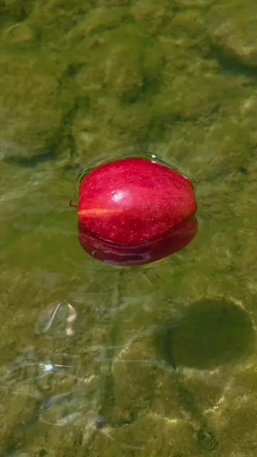 apple #apple 