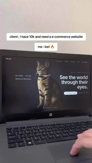 day 8/30  today industry : cat e-commerce store designing 30 website hero sectio
