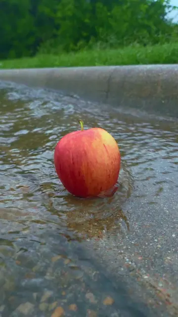 apple #apple