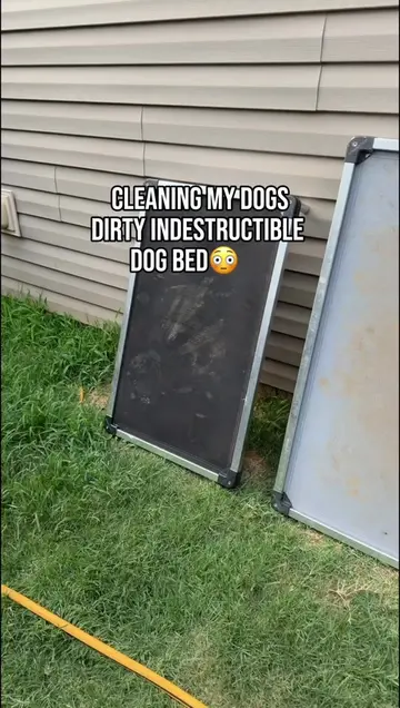Have a PAWsome day🐾 #CleanTok #dogsoftiktok #dogmomlife #cleanfreshhype #cleani