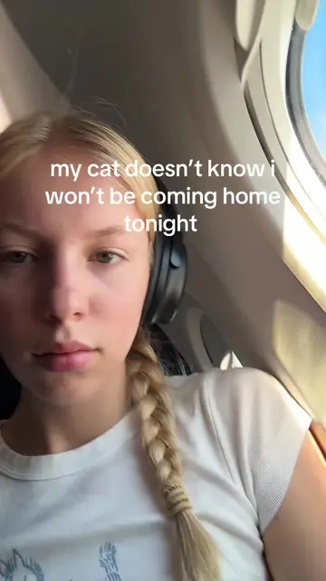 i miss her already send me back #cat #travel #airplane 