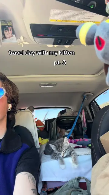 travel day number… a million?  she’s beginning to learn that driving is chill ti