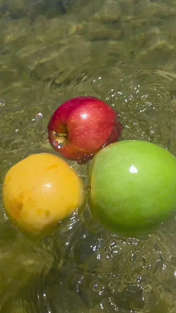 apple #apple