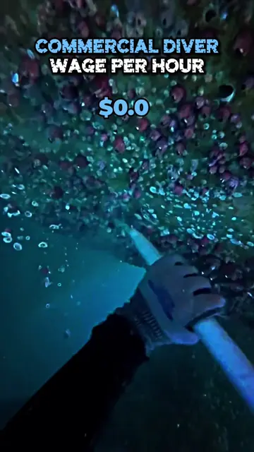 Commercial diver wage per hour! #fyp #foryou #viral 