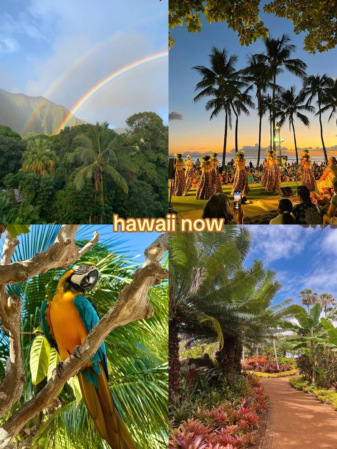 beautiful in both #hawaii #nostalgic #vibes #nostalgiacore #aesthetic 