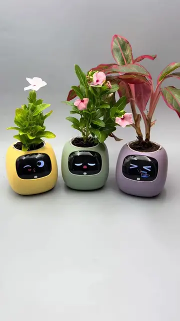 PLANTSIO Ivy Gen 2 Plant-Pet | وعاء الزراعة الذكي from @PlantsioOfficial  ——————