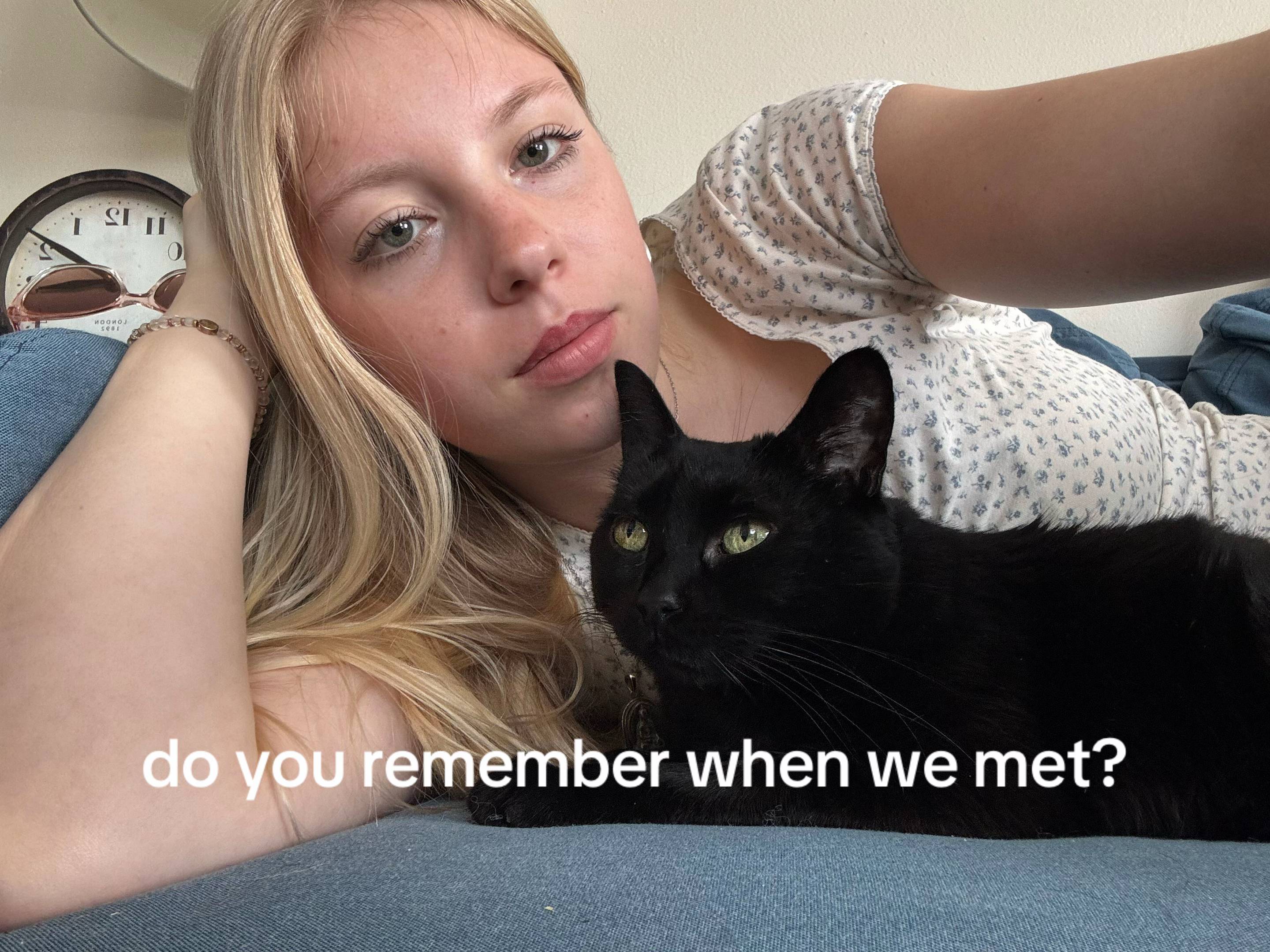 #cat #fyp 
