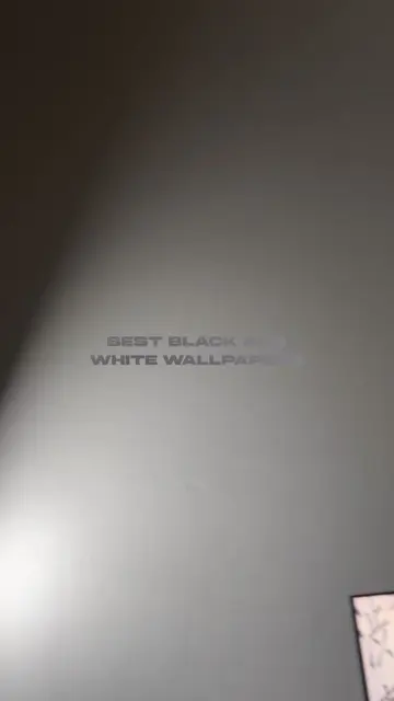 Best black and white wallpapers on wallpaper engine #minimal #techtok #pcsetup #