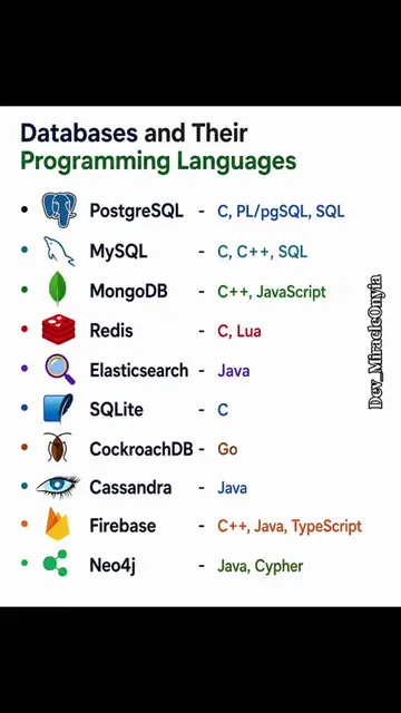 Data bases and their programming languages  #database #programming #sql #coding 