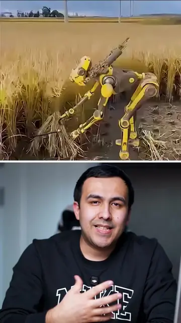 AI — o‘rganadi. ChatGPT — o‘rganganiga qarab gapiradi. AI — ko‘p ma’lumotni o‘qi