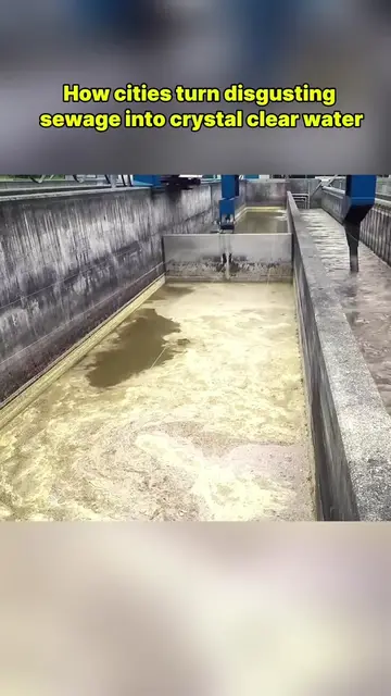 How cities turn disgusting sewage into crystal clear water? #Science #knowledge 