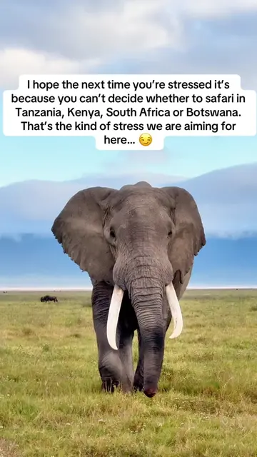 Grab our free Safari Comparison Guide: ‘Which Safari destination is best for you