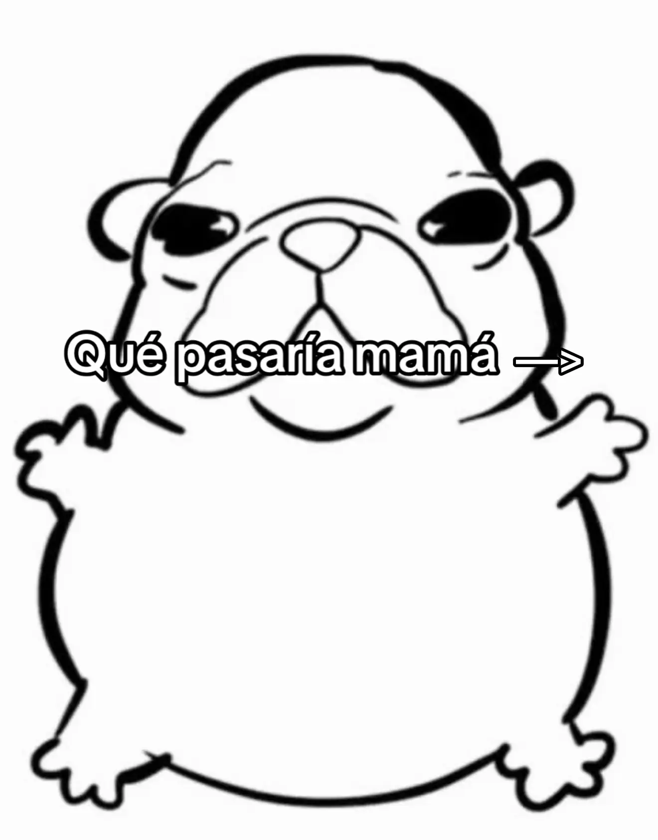 #humor #ano #viral #fry 