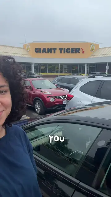 Is giant tiger better than Dollarama for budget finds? This was the question I s