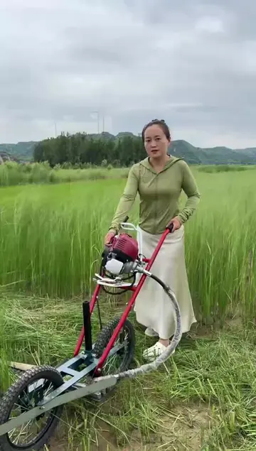 Lawn mower #lawnmower #grasscutter #brushcutter #gardening #gardenlife