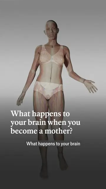 Once you become a parent nothing is ever quite the same again, including the bra
