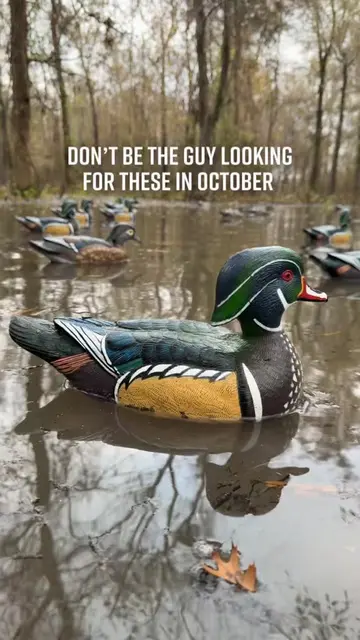 The long-awaited F1 Wood Duck Floaters are back in stock. Carved by a world cham