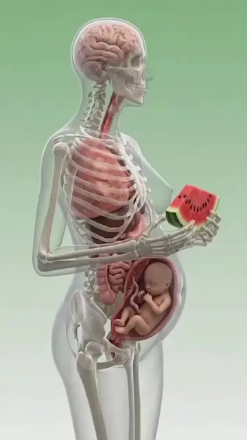 what Happened Inside your Body When you Eat Watermelon 🍉 During pregnancy 🤰 #t