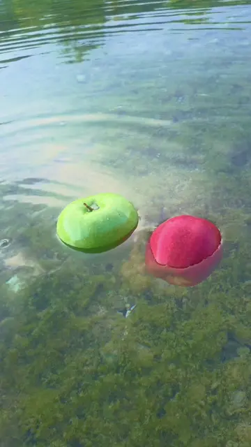 apple #apple