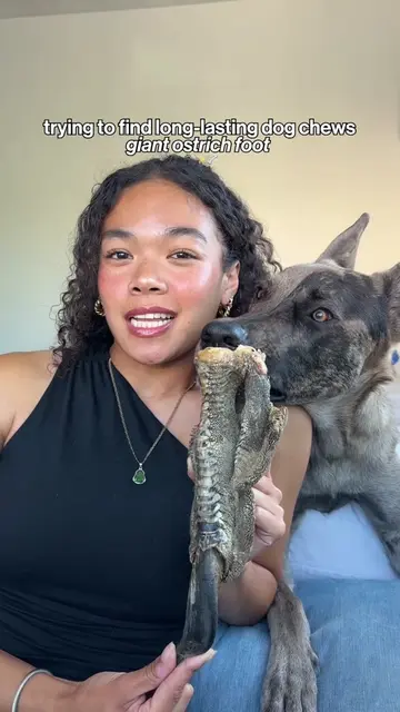 my heavy chewer vs. 15 minutes with a giant ostrich foot 🐾✨🦴 we’re trying to b