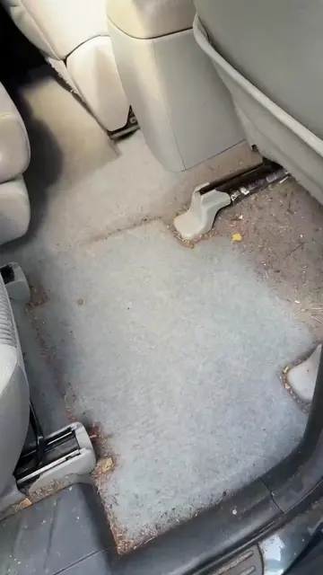 He said "just a quick vacuum." I lifted the mats. He didn't love what we found. 